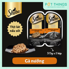 Pate Mèo Sheba Perfect Portions Cuts in gravy Roasted Chicken 37.5gx2