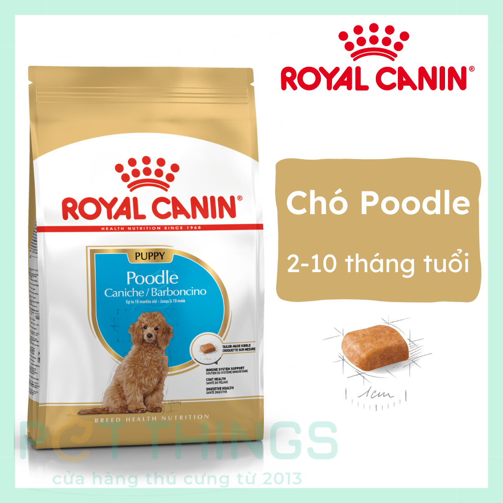 Royal Canin Poodle Puppy Thức Ăn Hạt Cho Chó Con Poodle – Pet Things