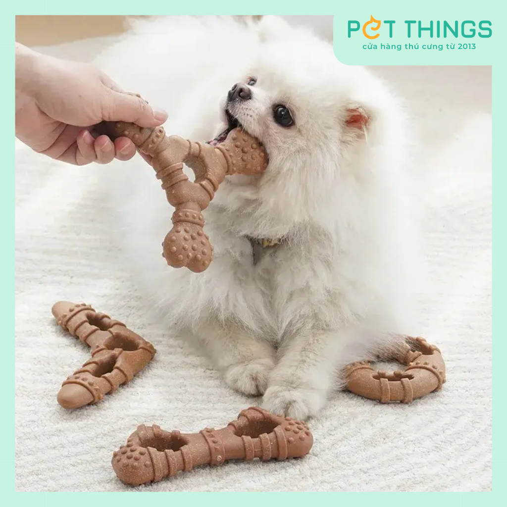 Đồ Chơi Xương Gặm Sạch Răng KARA PET Cho Chó