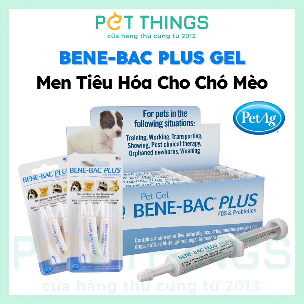 Men Tiêu Hóa Cho Chó Mèo PetAg Bene-Bac Plus Hộp 4 ống x 1g – Pet Things