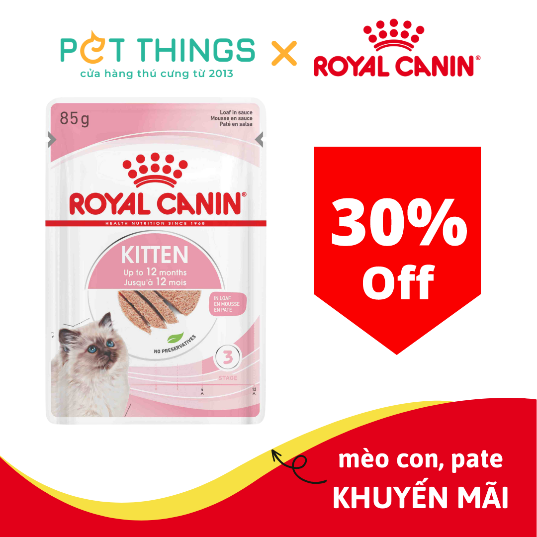 Royal Canin Kitten Gravy 85g Th c n t cho meo d i 12 thang tu i Pet Things
