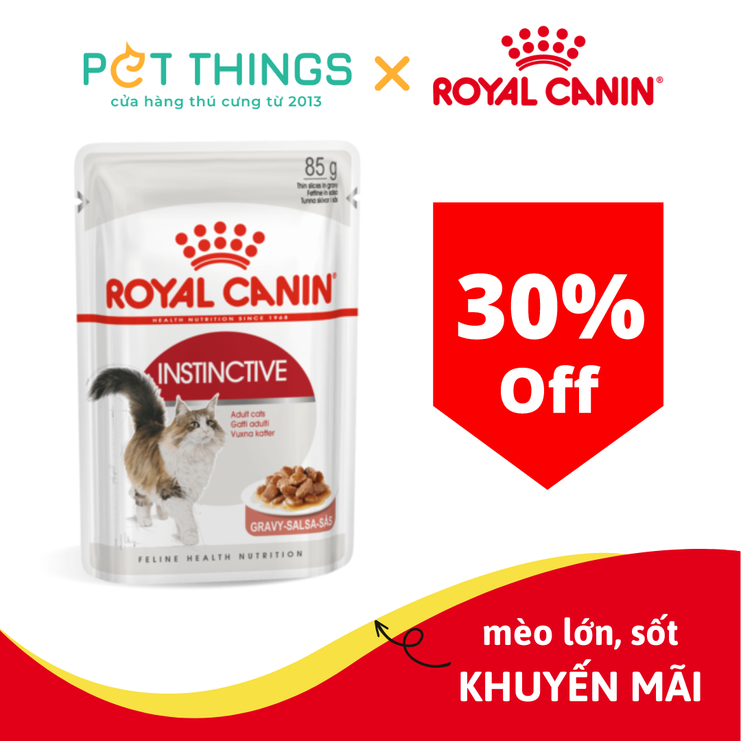 Pate Mèo Royal Canin Adult Instinctive in Gravy 85g