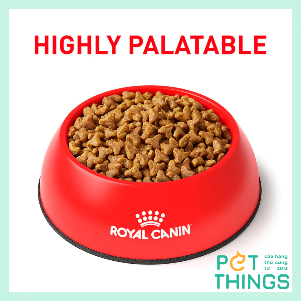 Chó Mèo Royal Canin Gastrointestinal Food For Cats Royal Canin