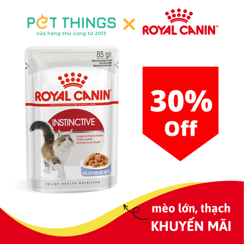 Pate mèo Royal Canin Adult Instinctive in Jelly 85g