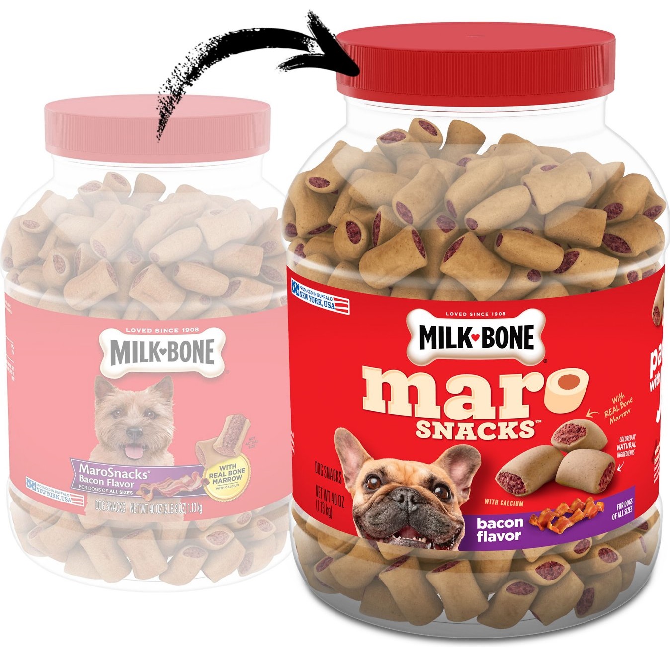 interactive pet ball