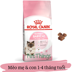 Royal Canin Mother & Baby Cat thức ăn hạt cho mèo mẹ & con