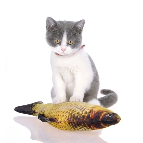 Cá nhồi catnip 60cm