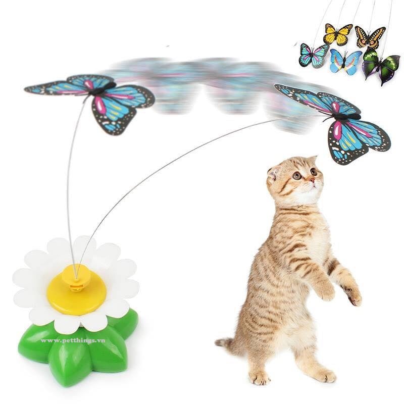 Bướm xoay tự động PiPi | Auto fly cat toy