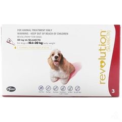 Revolution Dogs 10.1 - 20kg