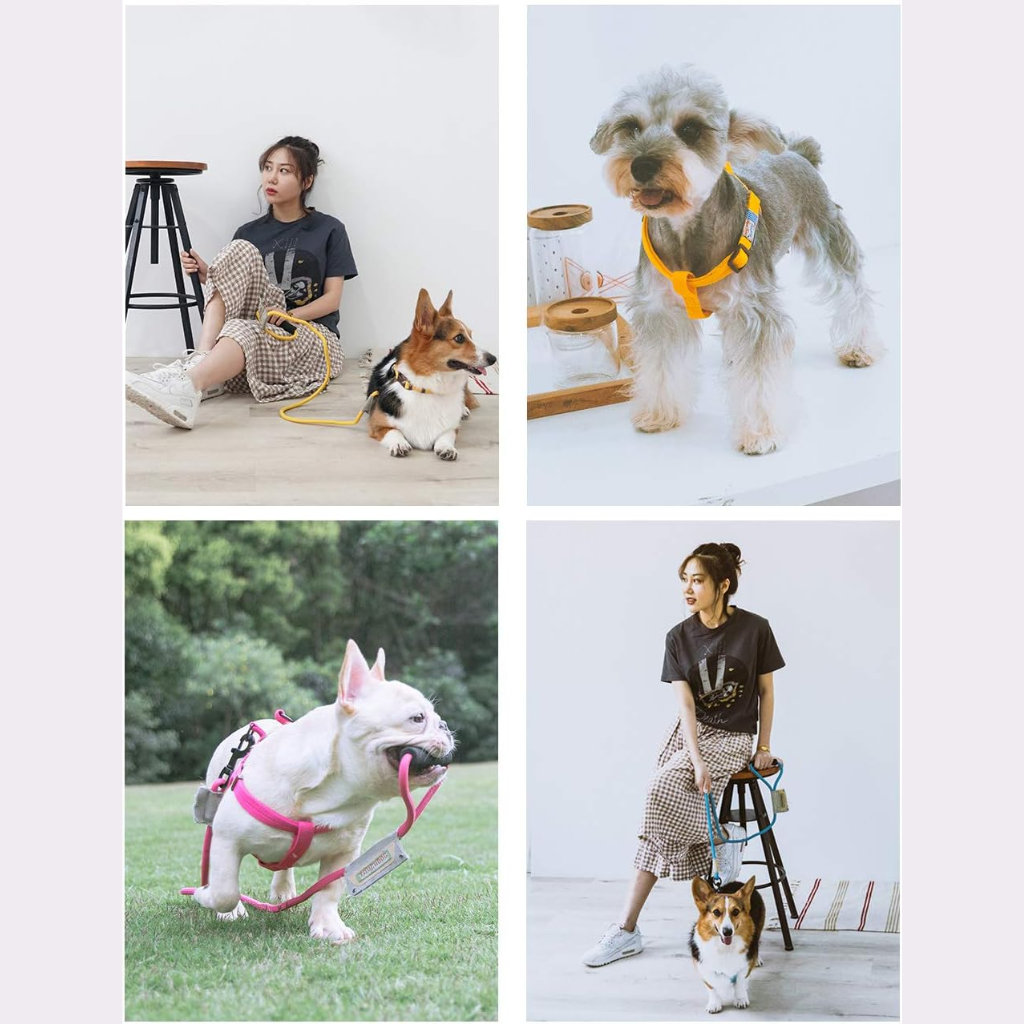 Touchdog Tròn Dây dắt + Yếm size M 9mm