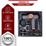  MÁY MASSAGER CẦM TAY PERFECT 