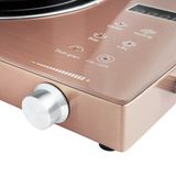  BẾP HỒNG NGOẠI ĐƠN PERFECT PF-BH88 