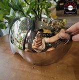 Kính Bubble Ngắn - Màu Tráng Gương
