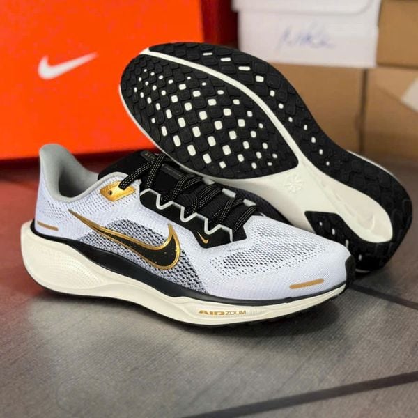  Giày Nike Pegasus 41 Metallic Gold/Light Smoke Grey 