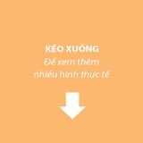  Giày Adidas Samba OG Talchum Pack ‑ Scarlet IG8905 (Chất lượng cao nhất) 