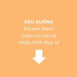  Nike Pegasus Turbo Kem Xanh Ngọc 