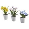 BỘ 3 CHẬU CÂY CẢNH MINI NHÂN TẠO FEJKA IKEA