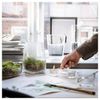 BỘ 30 NẾN VIÊN THƠM SILKESTRAD IKEA - Sương rêu