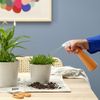 BÌNH XỊT TƯỚI CÂY TOMAT IKEA - Cam