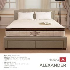 dem lo xo alexander 29cm