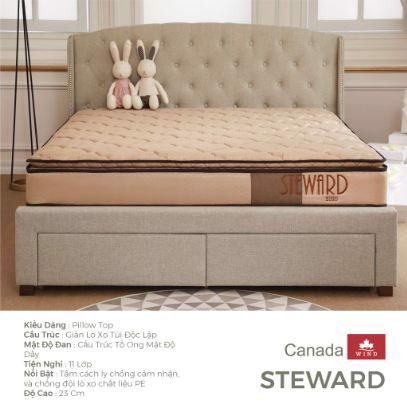 dem lo xo canada steward 23cm