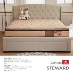 dem lo xo canada steward 23cm