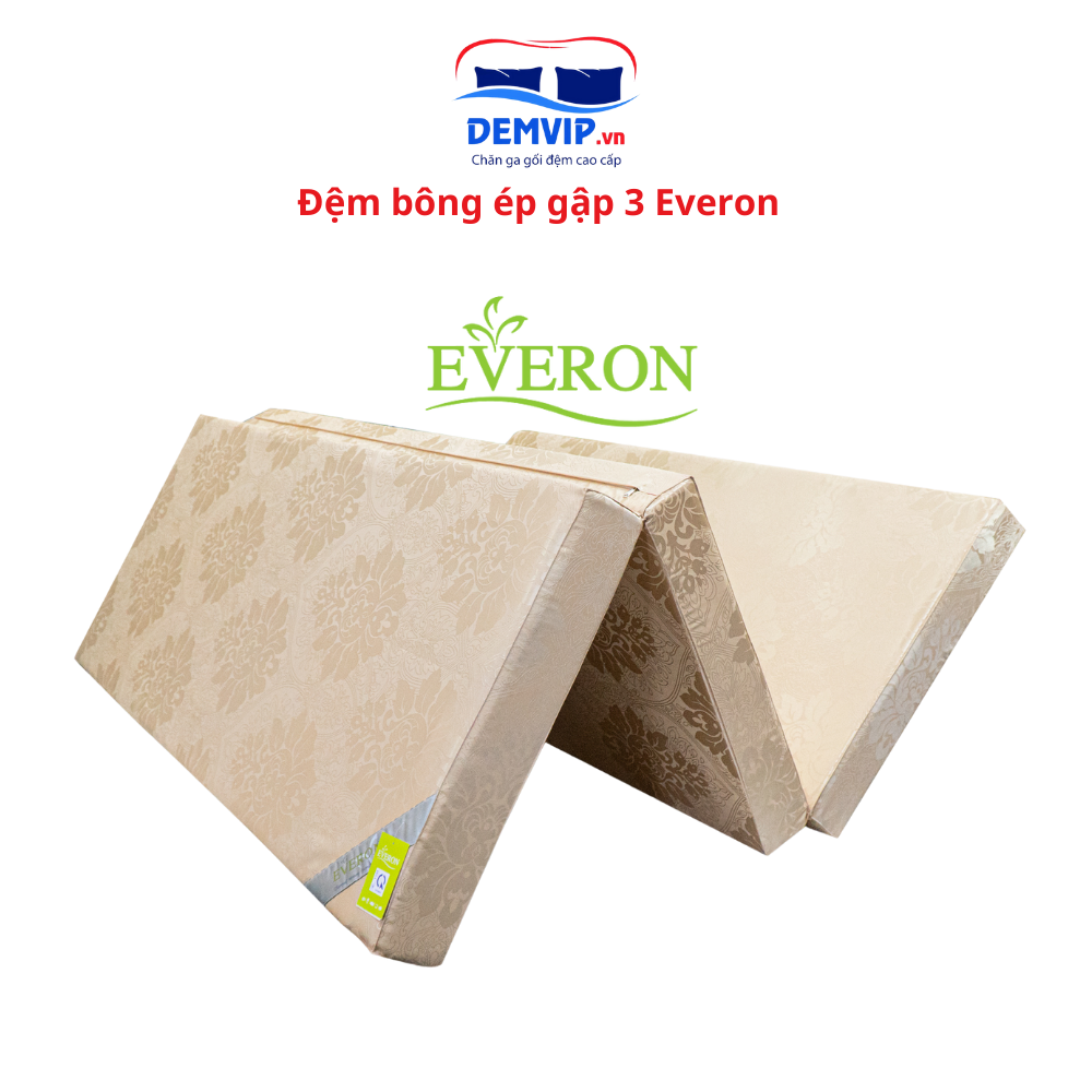 dem bong ep everon