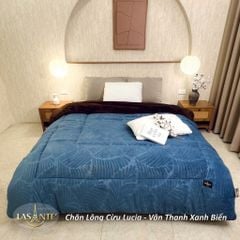 chan long cuu lasante sanding phap cp5