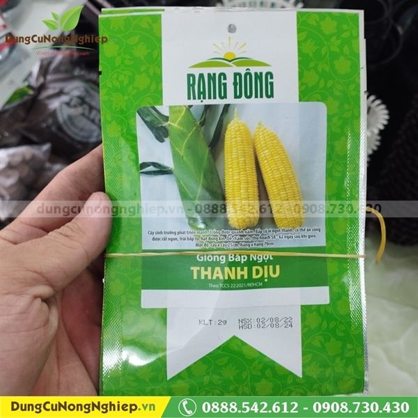  Bắp ngọt THANH DỊU 