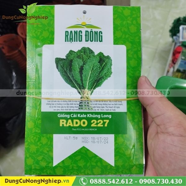  Cải Kale Khủng Long Rado RD 227 