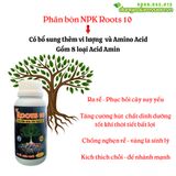  Phân bón NPK Roots 10 - Bổ sung vi lượng - Ra rễ, đâm chồi - Tái tạo rễ - 500ml 