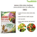  Bánh Dầu Đậu Phộng - Phân Bón Hữu Cơ Hàm Lượng Đạm Cao, Chuyên Hoa, Rau, Củ, Quả, Kiểng - 1kg 