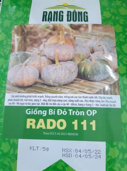  Bí đỏ tròn OP RD 111 