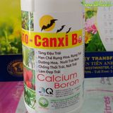  HN10 - CANXI BO – Tăng đậu trái, hạn chế rụng hoa, rụng trái,... - 500ml 