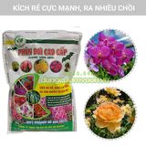  Phân Dơi Hữu Cơ Cao Cấp Dạng Viên Nén - Gói 700gr 