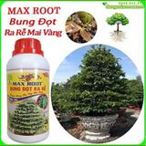  Phân bón MAXROOT Bung Đọt, Ra Rễ, Đẻ Nhánh - Chuyên dùng cho cây Mai Vàng - 500ml 