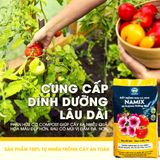  Đất trồng cây đa dụng Namix 20dm3 