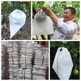  Bao bưởi Da Xanh túi vải dây rút 30x35cm - 100 túi 