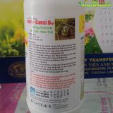  HN10 - CANXI BO – Tăng đậu trái, hạn chế rụng hoa, rụng trái,... - 500ml 