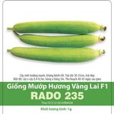  Mướp hương vàng lai F1 235 