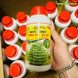  Phân bón MAXROOT Bung Đọt, Ra Rễ, Đẻ Nhánh - Chuyên dùng cho cây Mai Vàng - 500ml 