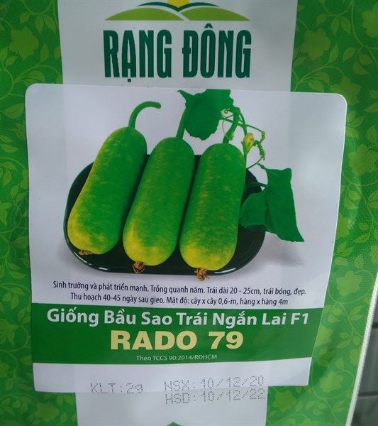  Bầu sao trái ngắn RD 79 