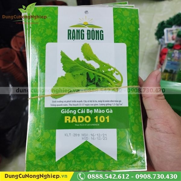  Cải bẹ mào gà RD 101 