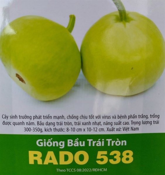  Bầu Trái Tròn Rado 538 