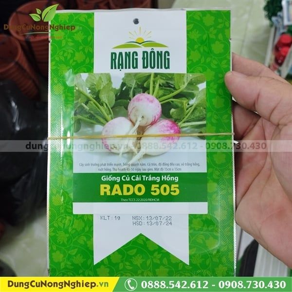  Củ cải trắng hồng RD 505 