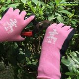  Găng tay bảo hộ lao động màu hồng HM557 