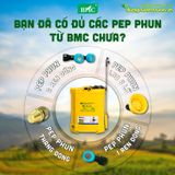  Bình BMC 16L điện Alpha khoá đồng ( bơm 3.8L/p) 