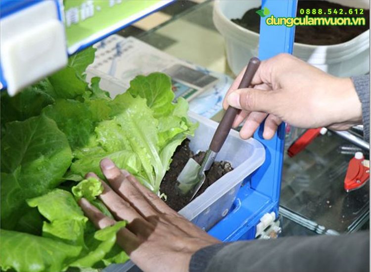  Bộ dụng cụ làm vườn mini 3 món HM061 