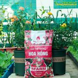  Giá thể trồng hoa hồng SFARM - 20dm3 