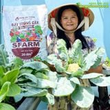  Đất trồng cây đa dụng SFARM - 20dm3 